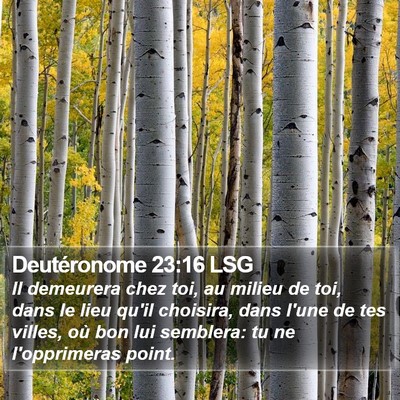 Deutéronome 23:16 LSG Bible Verse Image