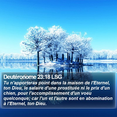 Deutéronome 23:18 LSG Bible Verse Image