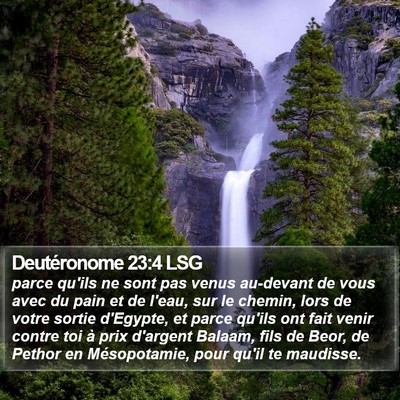 Deutéronome 23:4 LSG Bible Verse Image