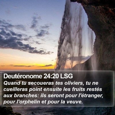 Deutéronome 24:20 LSG Bible Verse Image