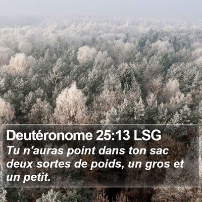 Deutéronome 25:13 LSG Bible Verse Image