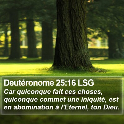 Deutéronome 25:16 LSG Bible Verse Image