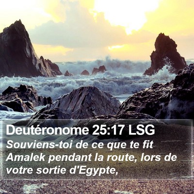 Deutéronome 25:17 LSG Bible Verse Image