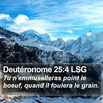 Deutéronome 25:4 LSG Bible Verse Image