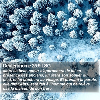 Deutéronome 25:9 LSG Bible Verse Image