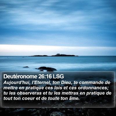 Deutéronome 26:16 LSG Bible Verse Image