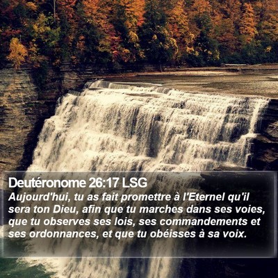 Deutéronome 26:17 LSG Bible Verse Image