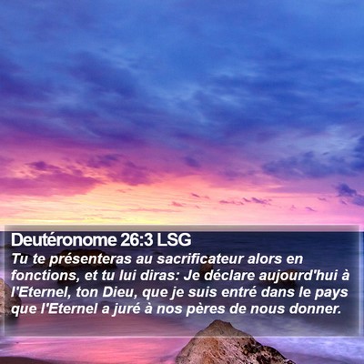 Deutéronome 26:3 LSG Bible Verse Image