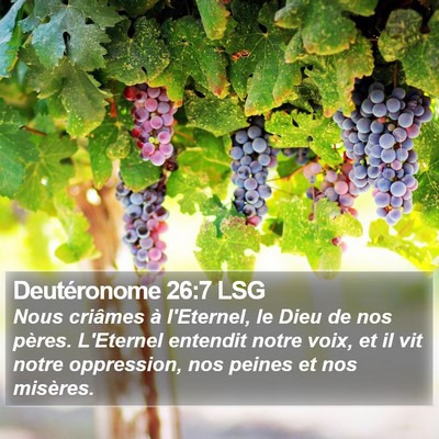 Deutéronome 26:7 LSG Bible Verse Image