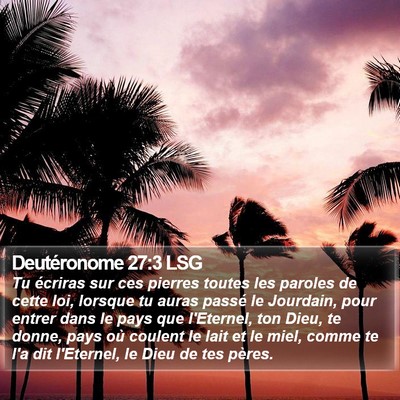 Deutéronome 27:3 LSG Bible Verse Image