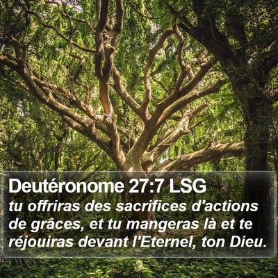 Deutéronome 27:7 LSG Bible Verse Image