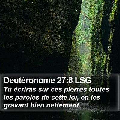 Deutéronome 27:8 LSG Bible Verse Image