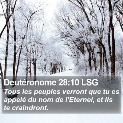 Deutéronome 28:10 LSG Bible Verse Image