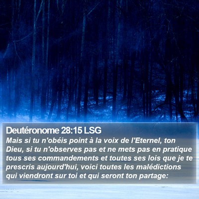 Deutéronome 28:15 LSG Bible Verse Image