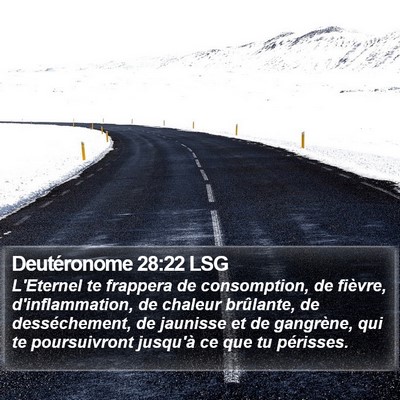 Deutéronome 28:22 LSG Bible Verse Image