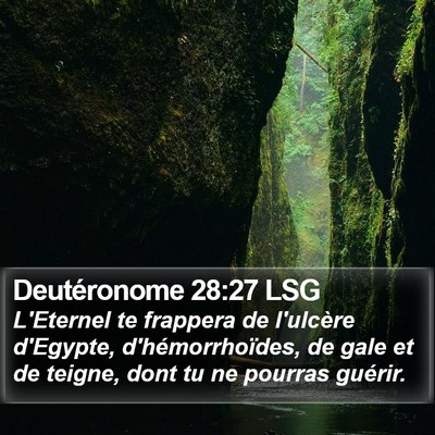 Deutéronome 28:27 LSG Bible Verse Image