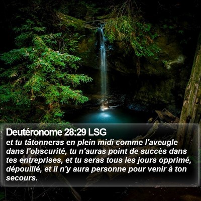 Deutéronome 28:29 LSG Bible Verse Image