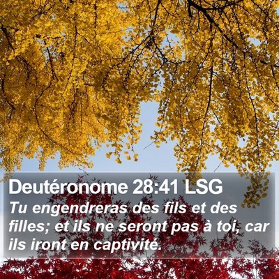 Deutéronome 28:41 LSG Bible Verse Image