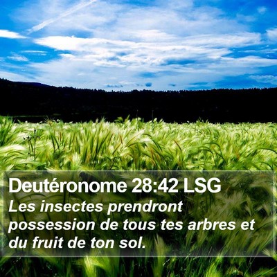 Deutéronome 28:42 LSG Bible Verse Image