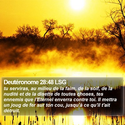 Deutéronome 28:48 LSG Bible Verse Image