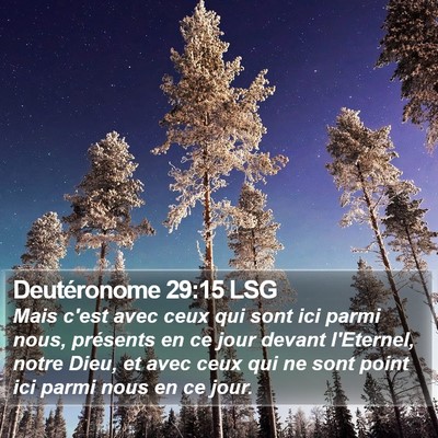Deutéronome 29:15 LSG Bible Verse Image
