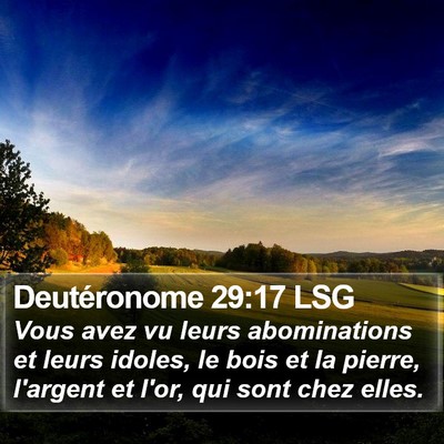 Deutéronome 29:17 LSG Bible Verse Image