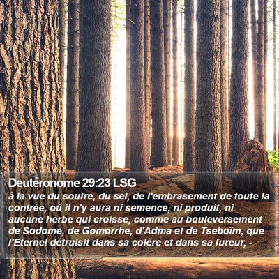 Deutéronome 29:23 LSG Bible Verse Image