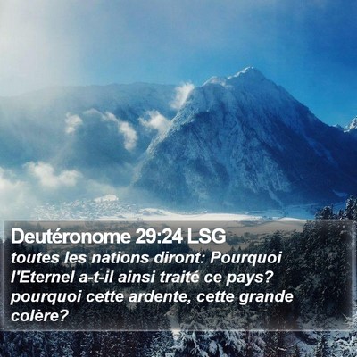 Deutéronome 29:24 LSG Bible Verse Image