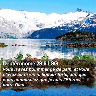 Deutéronome 29:6 LSG Bible Verse Image