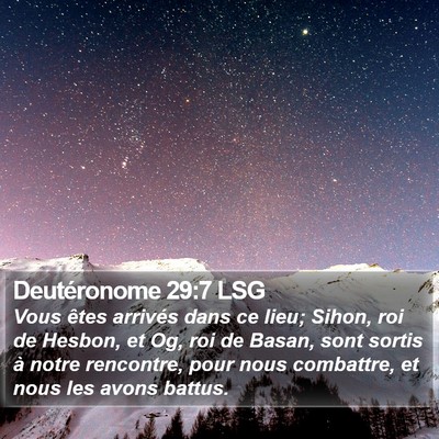 Deutéronome 29:7 LSG Bible Verse Image