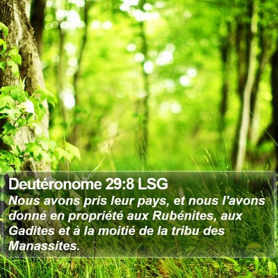 Deutéronome 29:8 LSG Bible Verse Image