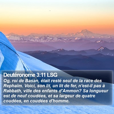 Deutéronome 3:11 LSG Bible Verse Image