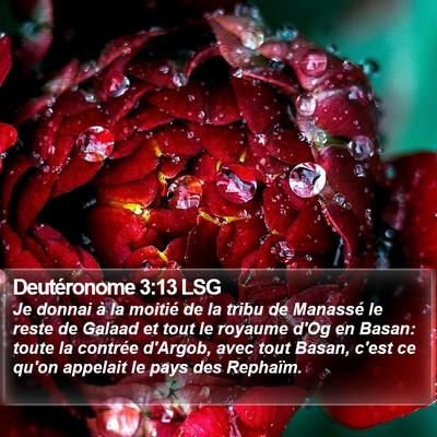Deutéronome 3:13 LSG Bible Verse Image