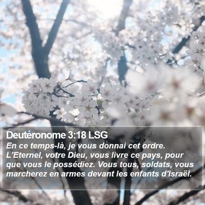 Deutéronome 3:18 LSG Bible Verse Image
