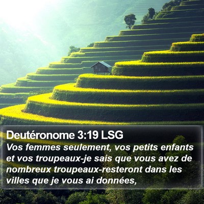 Deutéronome 3:19 LSG Bible Verse Image