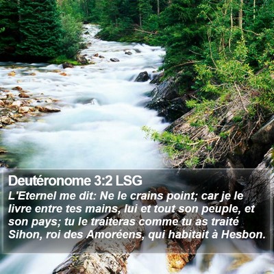 Deutéronome 3:2 LSG Bible Verse Image