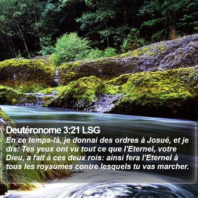 Deutéronome 3:21 LSG Bible Verse Image