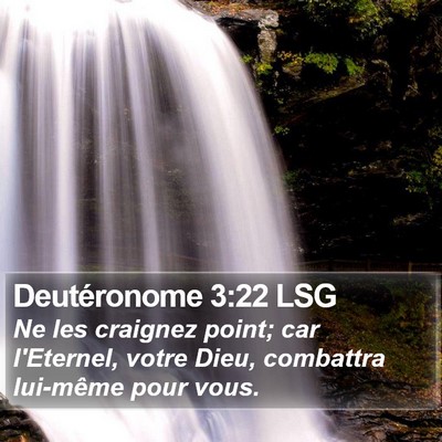 Deutéronome 3:22 LSG Bible Verse Image