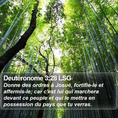 Deutéronome 3:28 LSG Bible Verse Image
