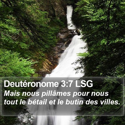 Deutéronome 3:7 LSG Bible Verse Image