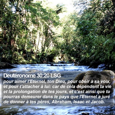 Deutéronome 30:20 LSG Bible Verse Image