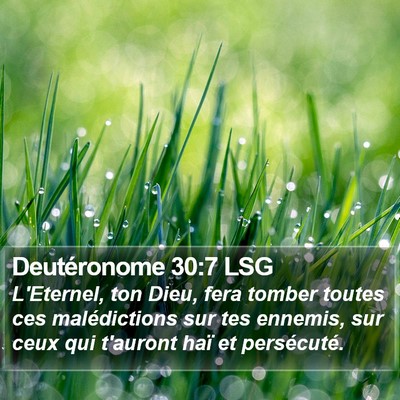 Deutéronome 30:7 LSG Bible Verse Image