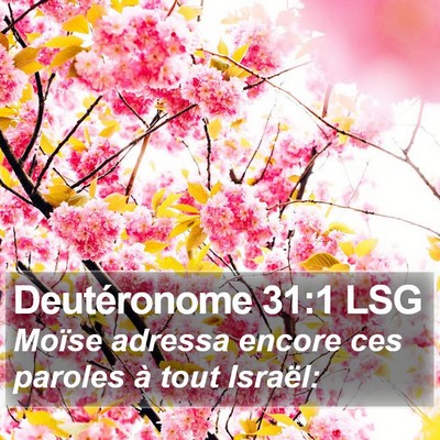 Deutéronome 31:1 LSG Bible Verse Image