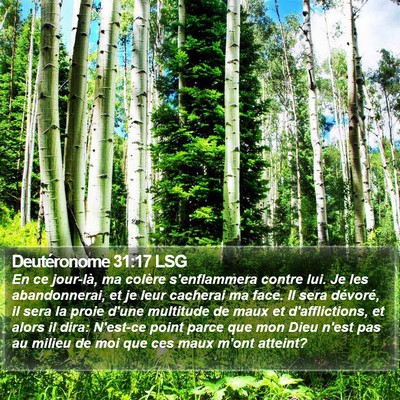 Deutéronome 31:17 LSG Bible Verse Image