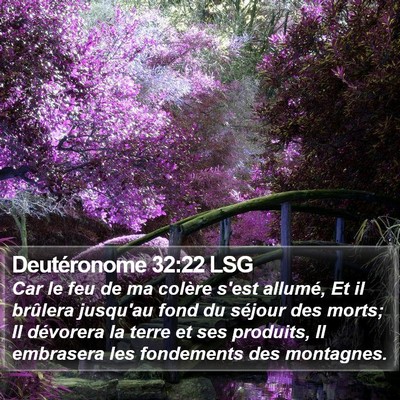 Deutéronome 32:22 LSG Bible Verse Image