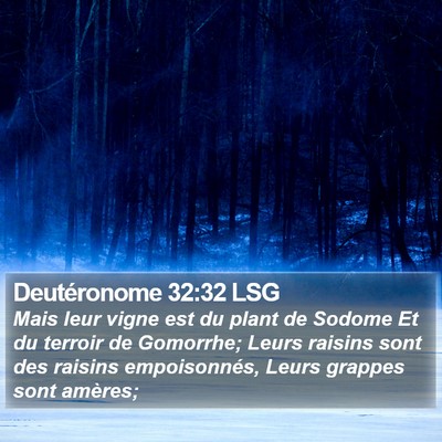 Deutéronome 32:32 LSG Bible Verse Image