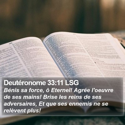 Deutéronome 33:11 LSG Bible Verse Image