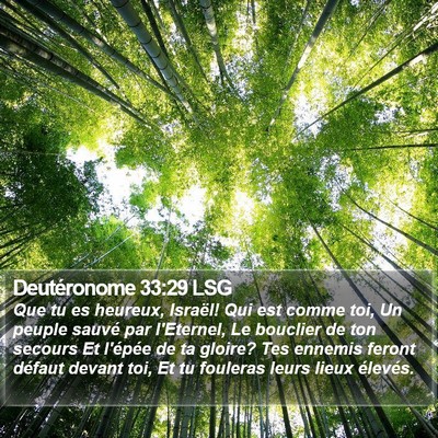Deutéronome 33:29 LSG Bible Verse Image