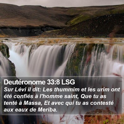 Deutéronome 33:8 LSG Bible Verse Image