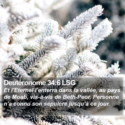 Deutéronome 34:6 LSG Bible Verse Image
